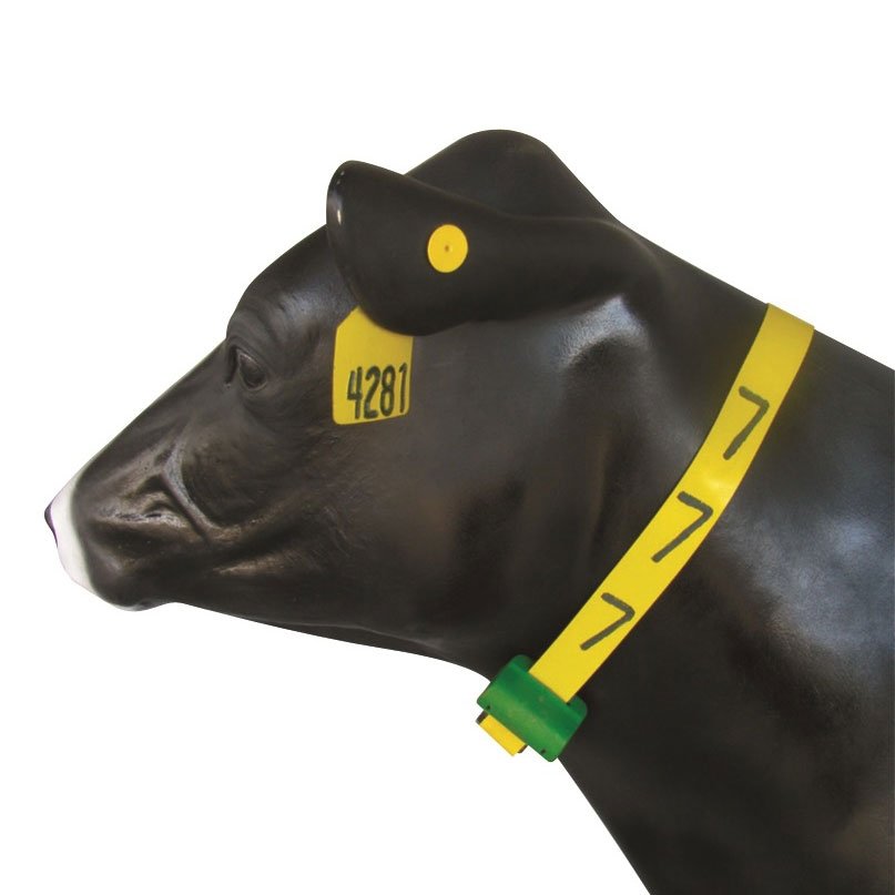 Additional Products - Ritchey Tags