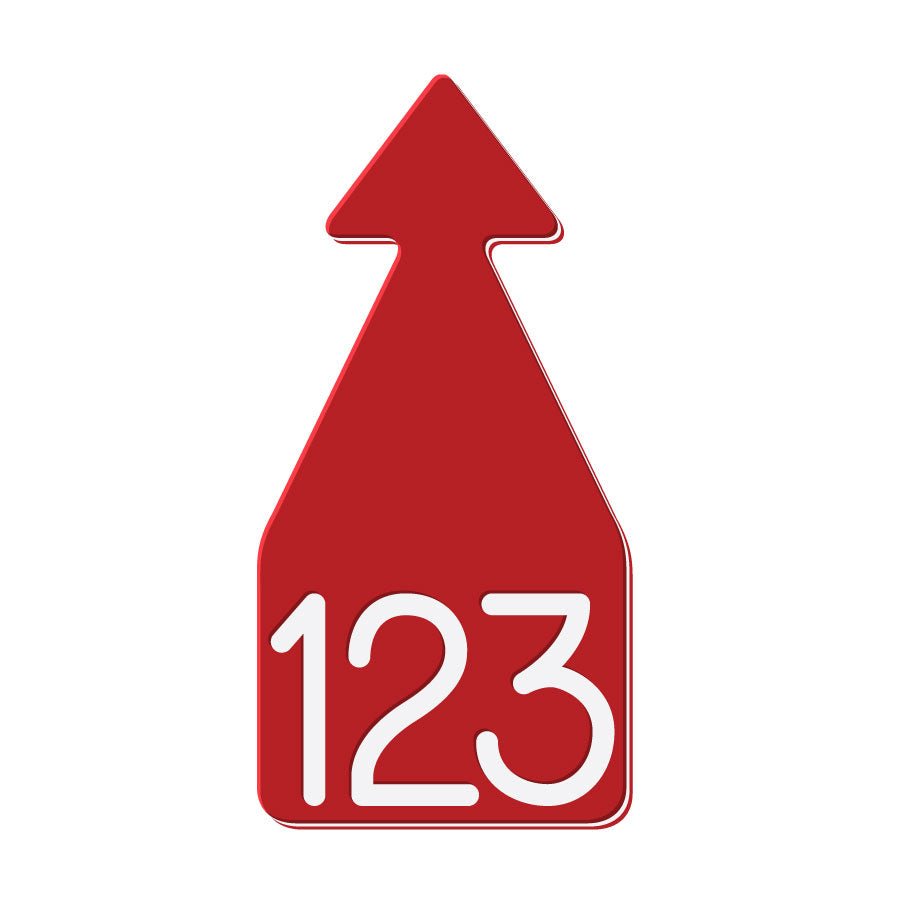 Flat Arrowhead Dual Colored Tags - Ritchey Tags