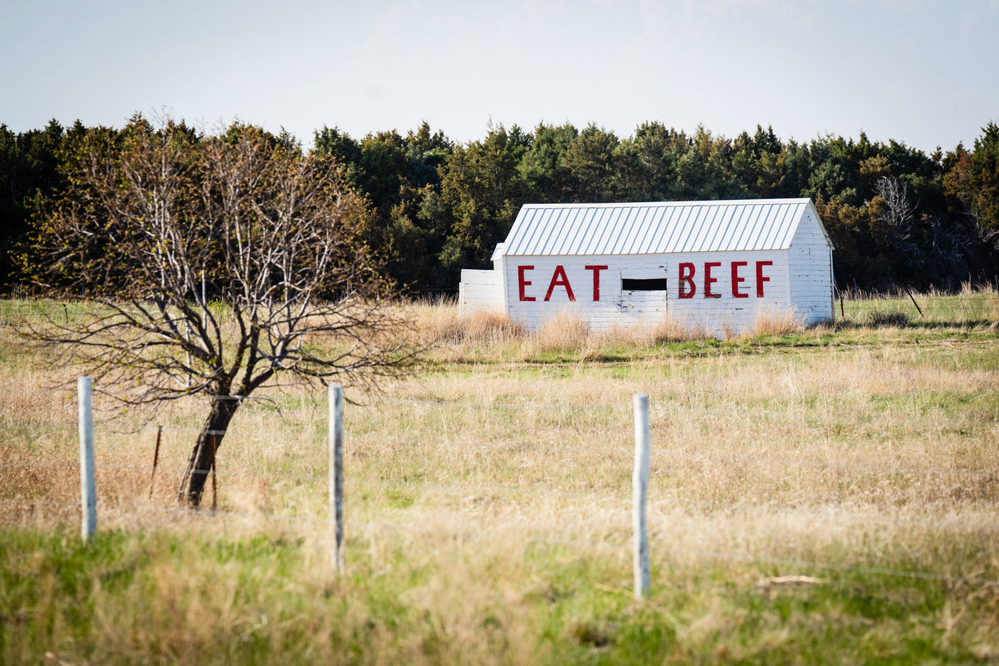 Eat Beef Photo