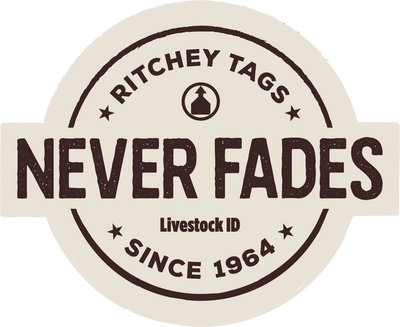 Never Fades Logo