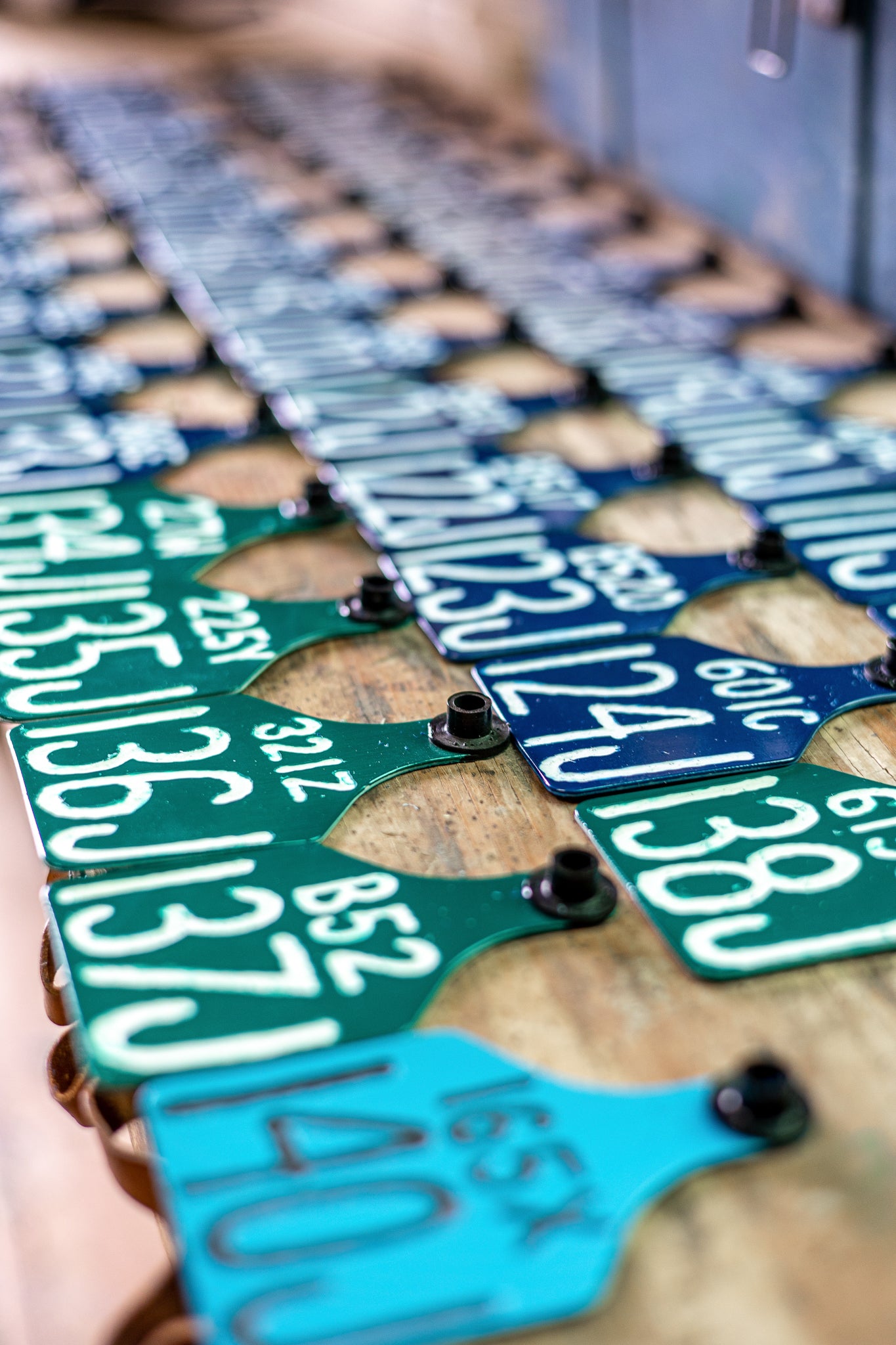 Ritchey ear tags engraved on a table.