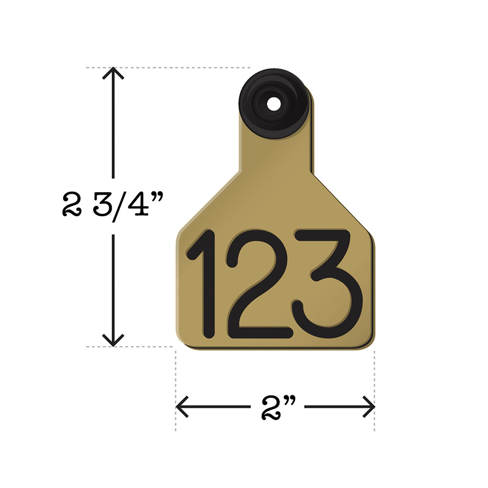 Universal Dual Colored Small Tags