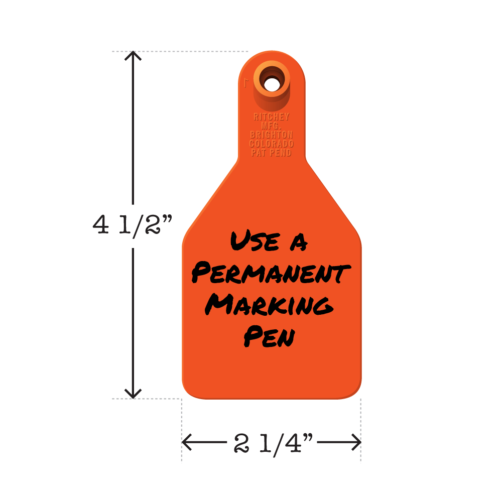 Write-on, two-piece, orange, medium calf tag. Height is 4 1/2 and width is 2 1/4".