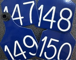 Large blue/white Ritchey livestock ear tags with white permanently engraved numbers, shown in a close-up product shot.