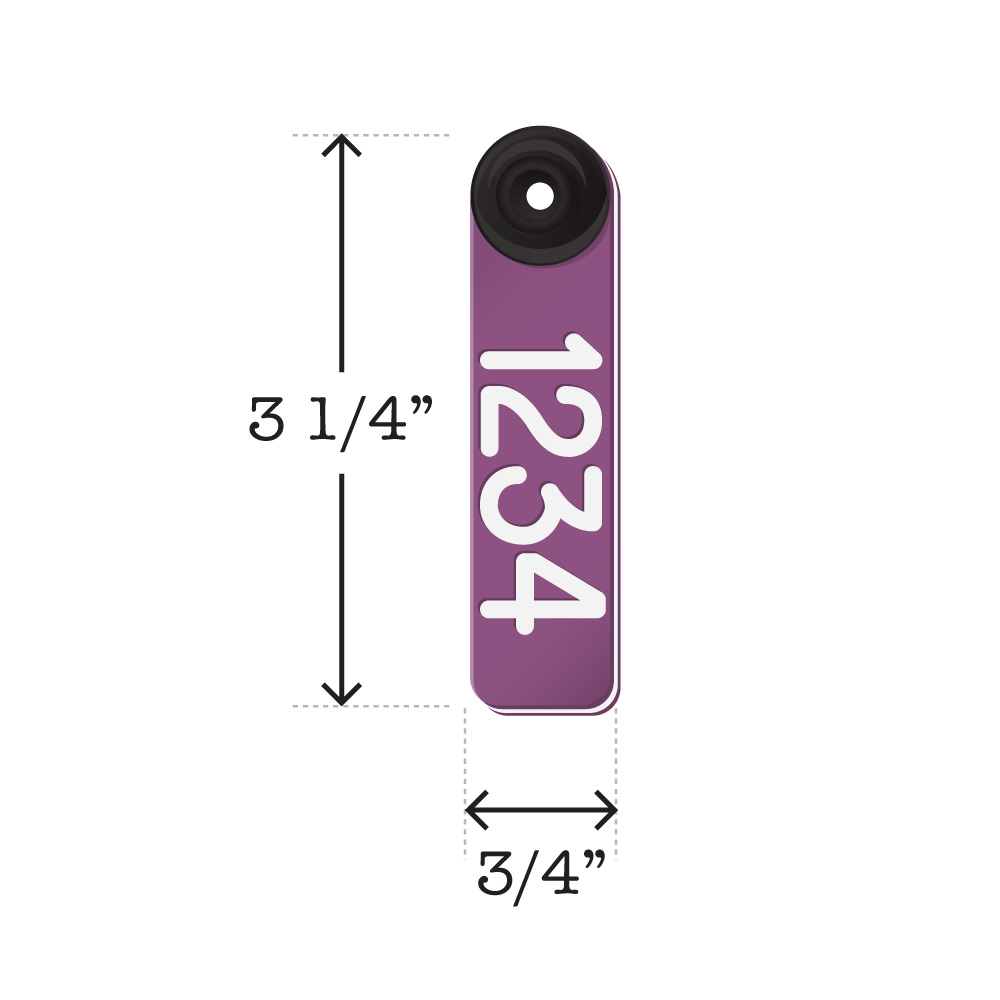 Dual colored, two-piece purple and white, fade resistant sheep and goat ear tags. Dimensions are 3 1/4" tall and 3/4" wide.