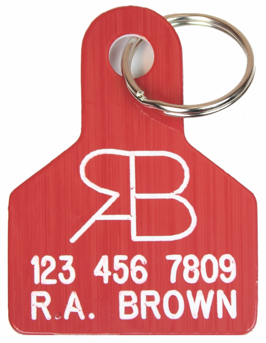 Dual colored red and white, two-piece, eargravable and fade resistant calf, goat or sheep ear tag with R.A. Brown engraved. Small. Height: 2 3/4″, Width: 2″